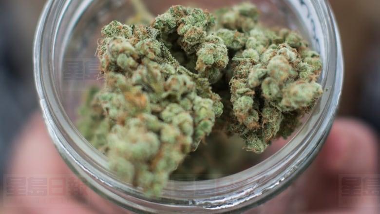 温哥华仍有16间非法大麻店在经营。CBC