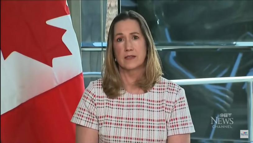 加拿大驻美大使希尔曼称，加美双方正努力争取案中两人获释，但不便透露行动细节。CBC