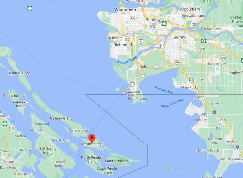 梅恩岛在低陆平原与温哥华岛中间。谷歌地图