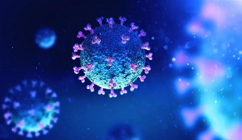 专家呼吁公众警惕新冠变异病毒。  星报图片
