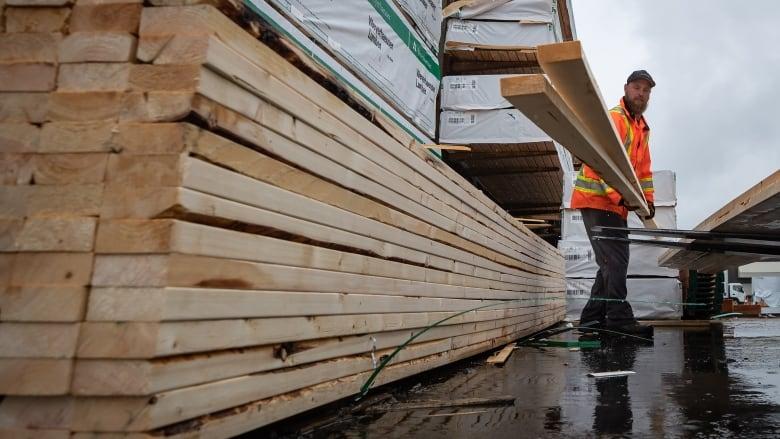 業內人士估計，受到美國房屋需求上升帶動，木材價格在未來15年也會得到支持。加通社