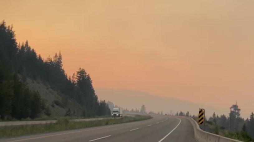卑诗省目前有300多处林火。  CTV图片