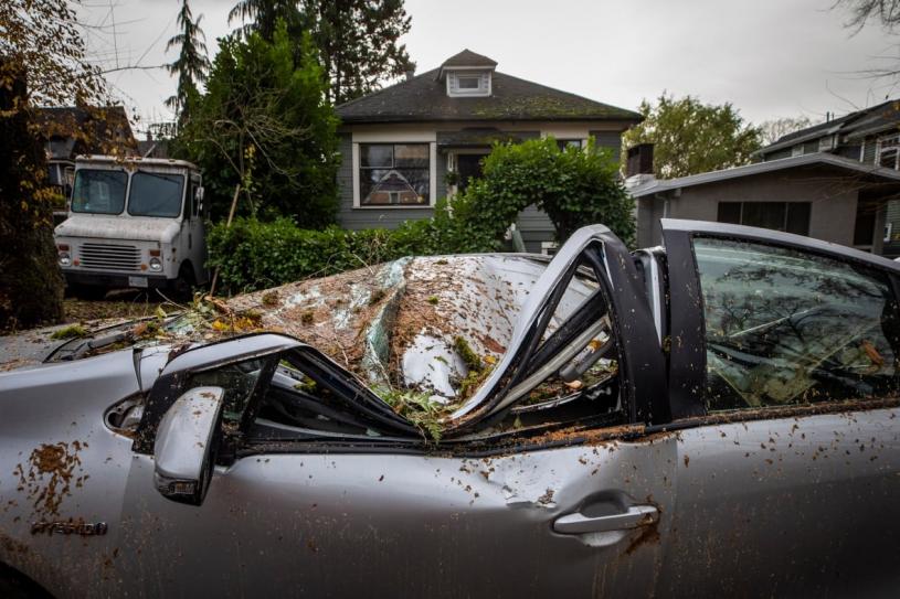 大温地区多处连日受到风暴破坏，一部私家车被吹倒的树木击中，车顶被压至崩塌。 CBC