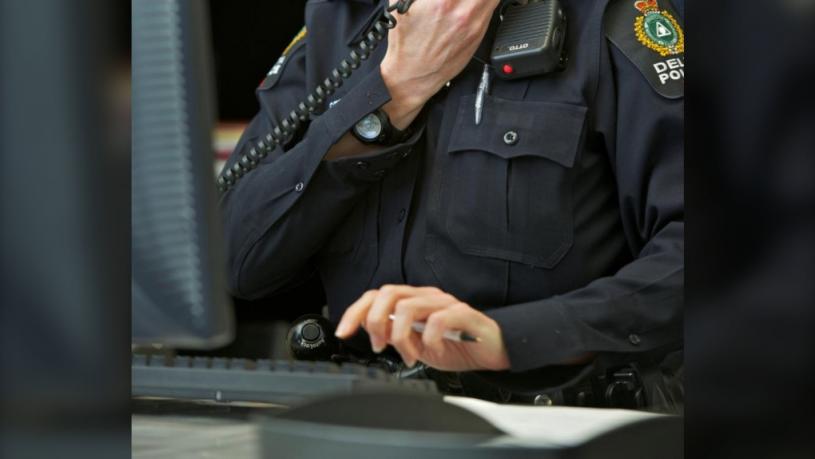三角洲警方會派員到荷蘭，協力調查一宗國際網絡罪案。CTV