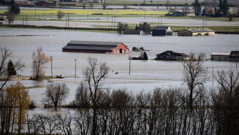 圖為去年11月16日，阿波斯福市（Abbotsford）的農田被淹。加通社資料圖

