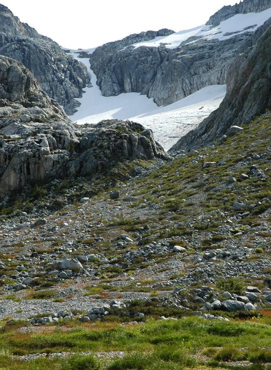 專家預計，高貴林冰川可能在未來30年內消失。大溫都會局
