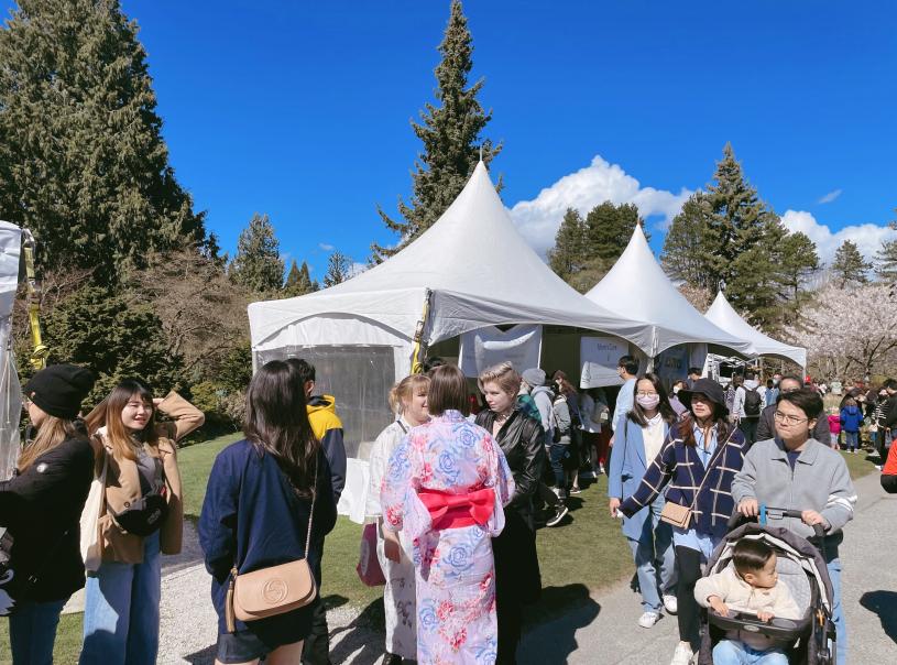 有不少非日裔民眾身穿日本和服，與親友觀賞櫻花。星島記者王弘樹攝