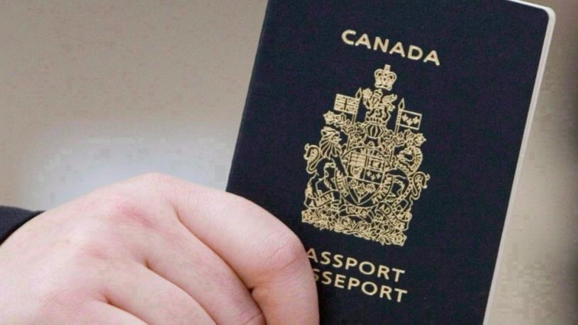 加拿大護照。加通社
