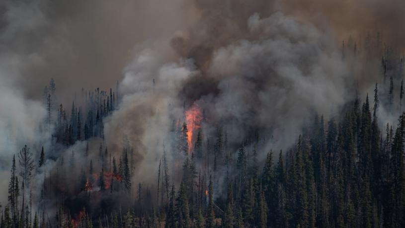 2021年的山火為卑詩光帶來巨大經濟損失。加通社資料圖片  
