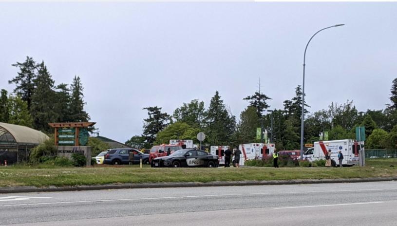 UBC植物園交通意外，導致三名小學生受傷。   Reddit/idiroft圖