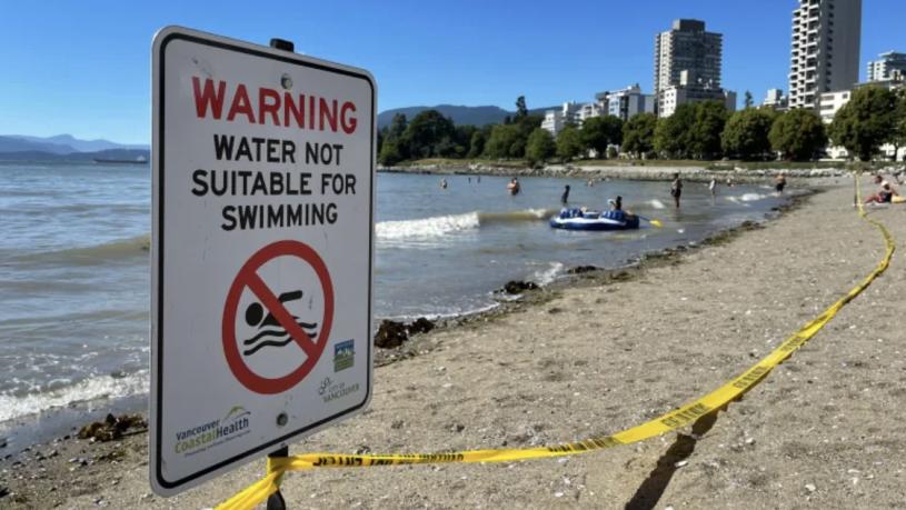 英吉利海灘因大腸桿菌暫時不允許下水游泳 。 CBC圖片