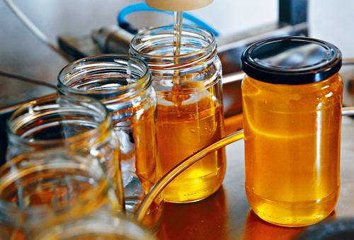 研究指市场上所售蜂蜜中75%含至少一种新烟碱残余。资料图片