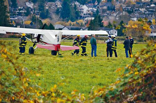 肇事小型機緊急降落農場，機身完整無損。Curtis Kreklau攝