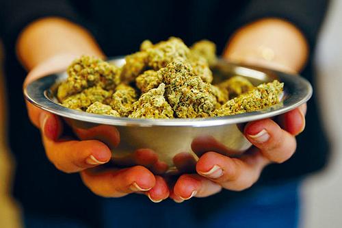 有指北美洲的合法大麻市場價值約100億元。CBC