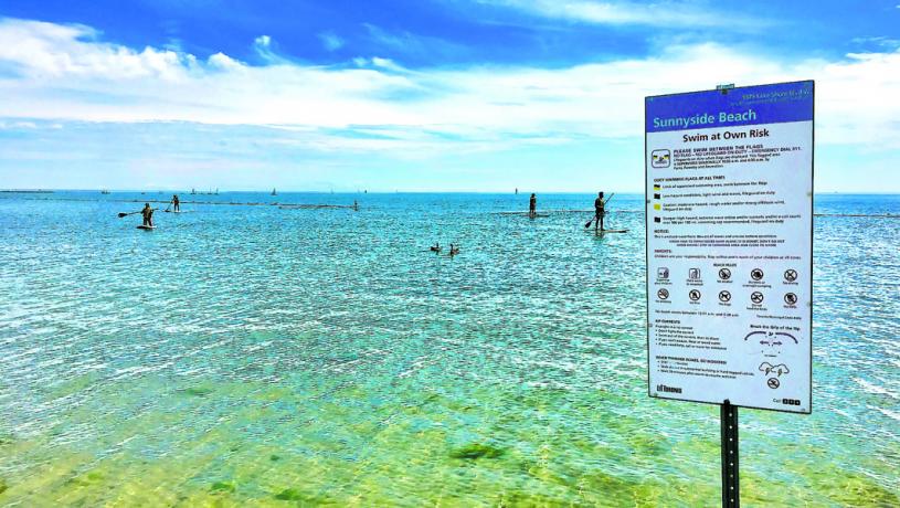 Sunnyside沙灘的一個標志牌，警告公眾由於大腸桿菌超標，游泳不安全。CityNews