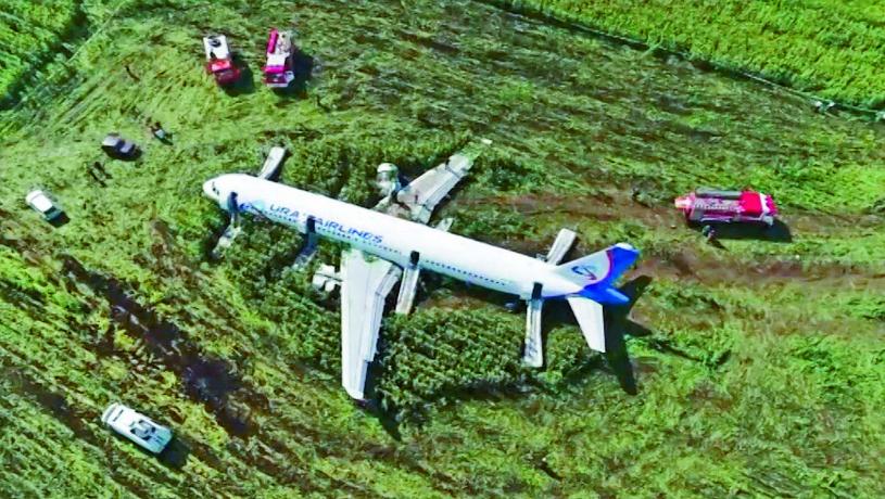 俄羅斯客機撞鳥群，緊急降落在
拉緬斯科區一處粟米田。　 路透社