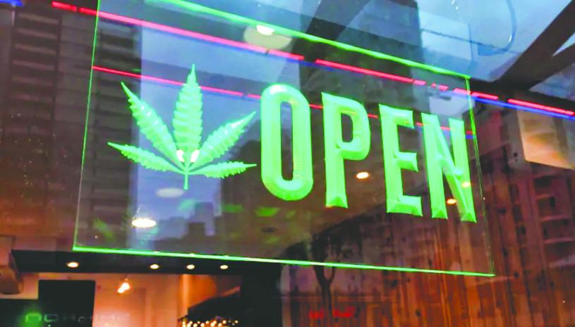 ■自加國大麻合法化後的前六個月內，各地開設的大麻店總計有260家。CBC