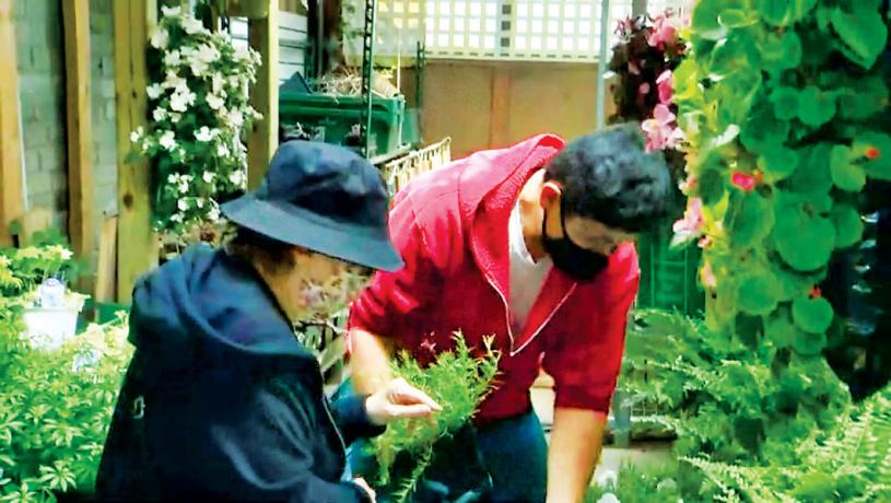 ■在多倫多經營花店的蘇安迪，從未去過中國，依然感受到種族歧視。Global
