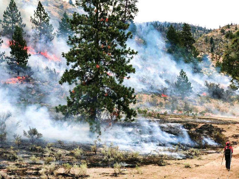 ■干燥的春季提高加西地区的山火风险。卑诗山火服务处
