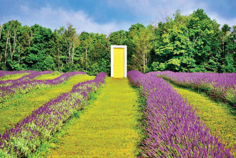 ■「黃門」(The Yellow Door)乃農場著名藝術擺設。   Terre Bleu