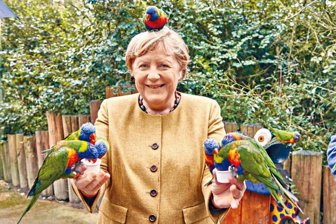 即将卸任的总理默克尔，上周四抽空到雀鸟公园喂雀。