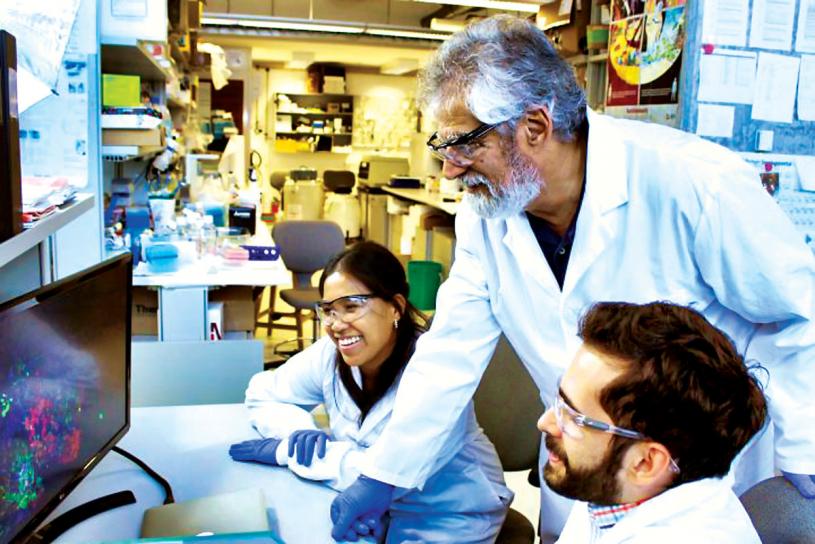 ■塞夫顿与他的团队，正研究以细胞疗法治疗一型糖尿病。 多伦多大学