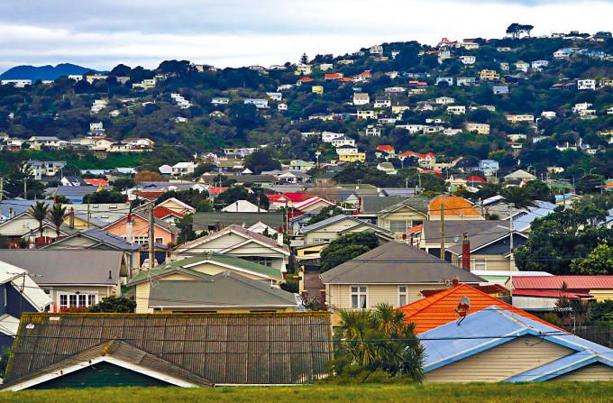 紐西蘭威靈頓市的住宅群。