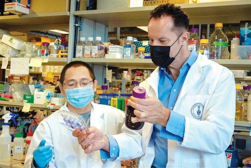 doctors：Zhong Yao（左）創建了一種能夠檢測中和抗體對不同新冠變種有效性的測試，Igor Stagljar（右）共同領導了這項研究。星報
