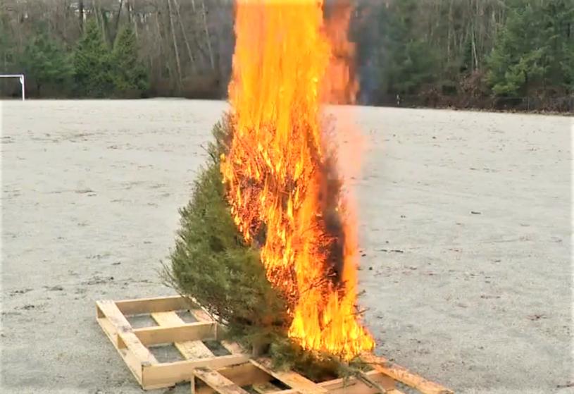 消防员在演习中展示，干枯的圣诞树一分钟内被火势吞噬。Global News视频截图