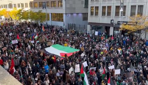 滿地可支持巴勒斯坦的示威者。網上圖片