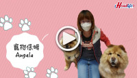 (視頻)善待動物｜疫情下的寵物保姆