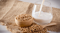 豆漿營養｜豆漿比牛奶有營養？ 專家列7大好處 降膽固醇抗癌能力超強