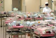 上月21宗非本地孕婦衝急症室分娩　5人為內地婦