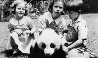 大熊猫遭盗海外　70年后向偷猎者后人颁纪念章