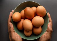 【健康talk】啡蛋定白蛋好？食安中心拆解蛋壳颜色与营养价值之谜