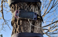遠程監測樹木搖擺程度  捆綁加速計知生長周期