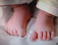 【阿浓专栏】婴儿的脚