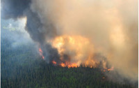 加拿大山火严重  但时薪低 很难招聘到救火员