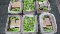 英緝獲最大批可卡因  香蕉箱藏毒黑市價逾44億