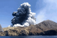 怀特岛4年前火山爆发22游客亡 5旅行社被指“罔顾安全”判赔4800万元