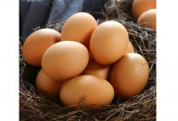 農場散養超大雞蛋100隻 特價$49.99