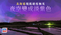 北海道現低緯度極光   紫色渲染夜空