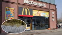 麥當勞中國︱兩分店爆「永續食材標籤」醜聞    官方發聲明致歉
