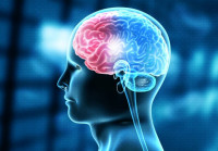 醫學新研究：大腦中毒素不因睡眠足而能去除 但運動能