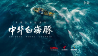 央視紀錄片《中華白海豚》即將在港澳推出