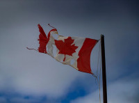 报告：加拿大生活水平正经历40年来最严重下降