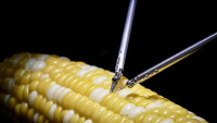 科技/有片| Sony超精細機械人 玉米粒上縫針 自動切換工具