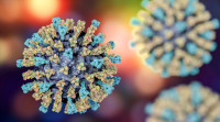 安省一名兒童死於麻疹 乃10多年來首見