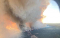加西多地爆發大規模山火  電訊中斷  911服務停擺