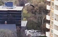 【视频】多市有人跳降伞 警指违法接手调查